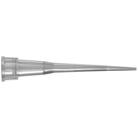 Ponteira em PP Axygen 0,5-10ul PT/1000