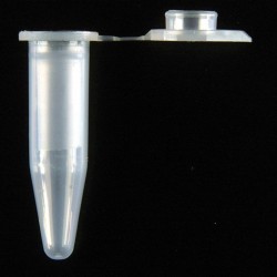 Microtubo Axygen 0,6ml CX/1000